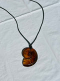 The Shell Necklace - Amber